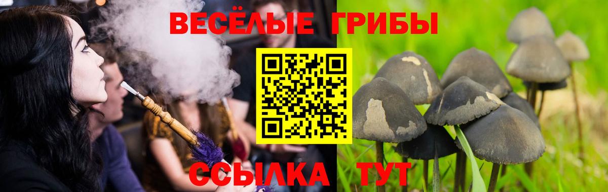 Псилоцибиновые грибы мицелий  Галлюциногенные грибы Magic Shrooms  Вход с VPN  Киров 